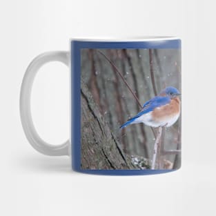 Bluebird in the winter Mug